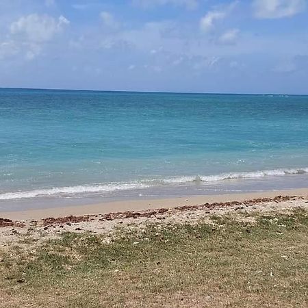 Ohana Guest House Port Mathurin Exterior foto